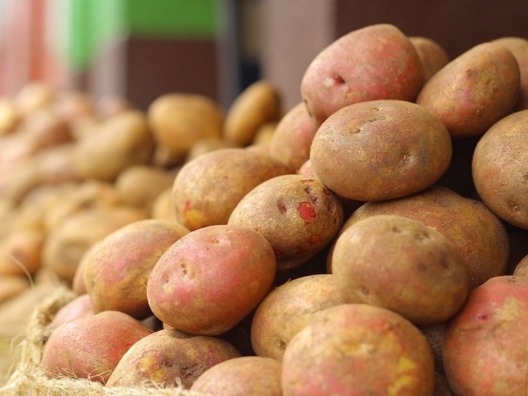 ������ ��������� ������ ������ ������� � 8 ��������� ����