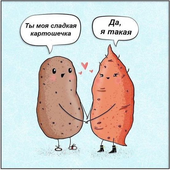 Картошка против батата: кулинарный эксперимент