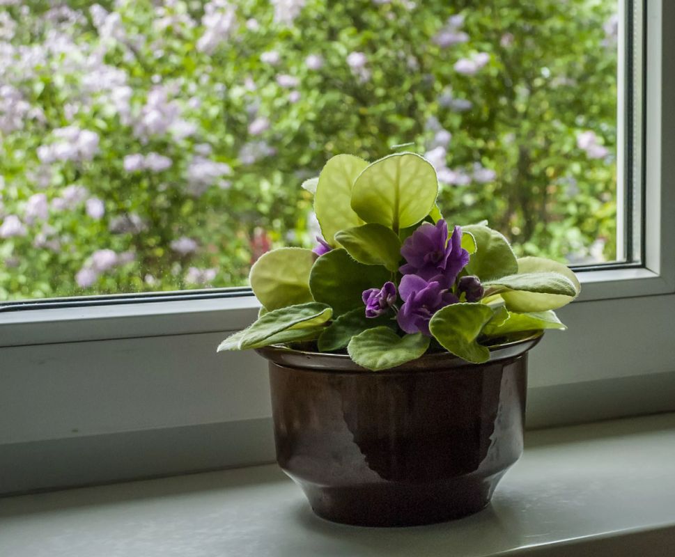 � ������� ����� � ������: ����� ����� � �������� ���������