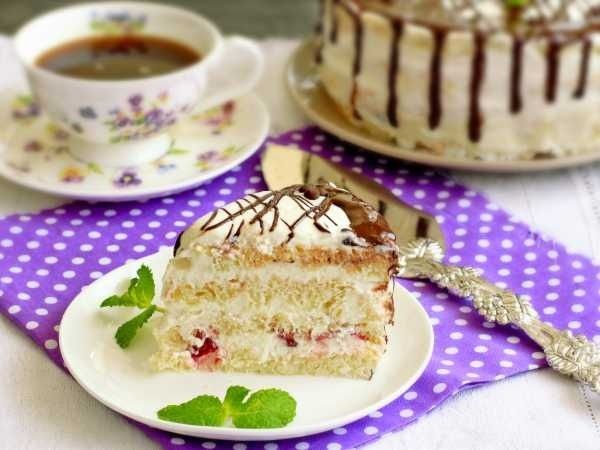 ���� ��� �������: �������� � ���� � ������ �������