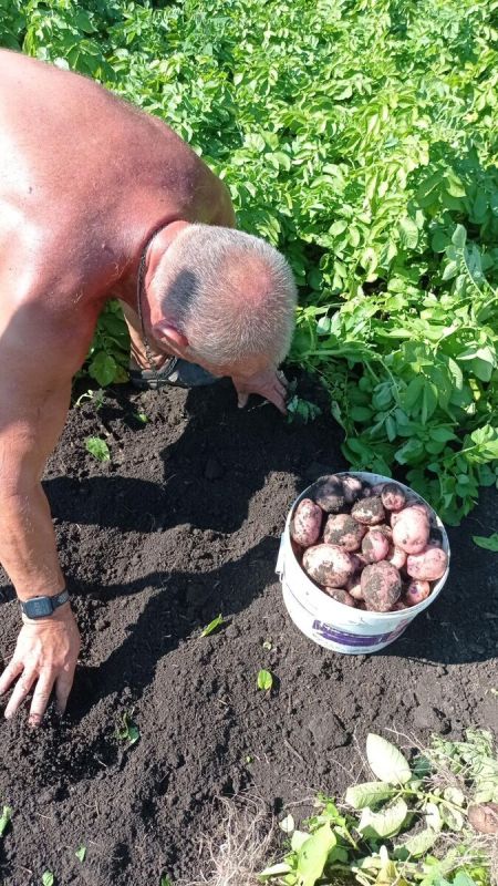 ��� ���������� �� �������� � �������: ������ � �������