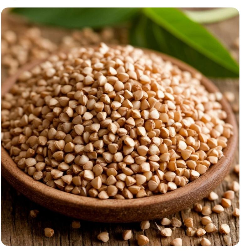 ������ ��� ������ �������� ��� �������� ������ ������ � �����