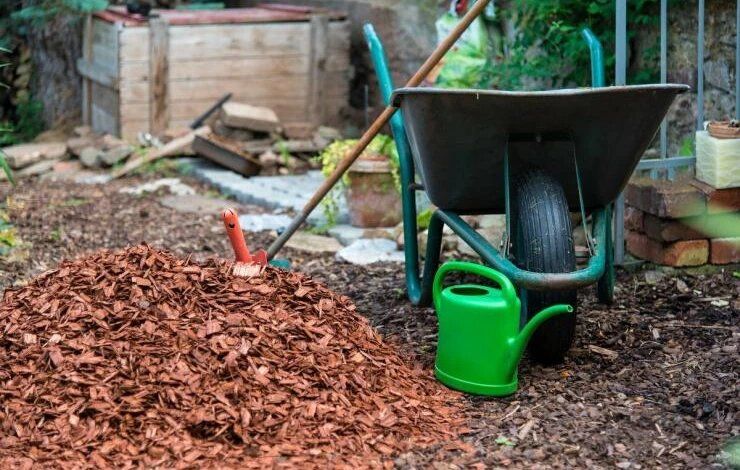 ������������� ������ �� ����: ��� �������� � �������� �����