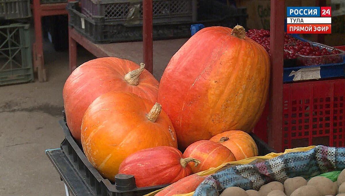 �����: ������������� ���������� ��� �������� ����