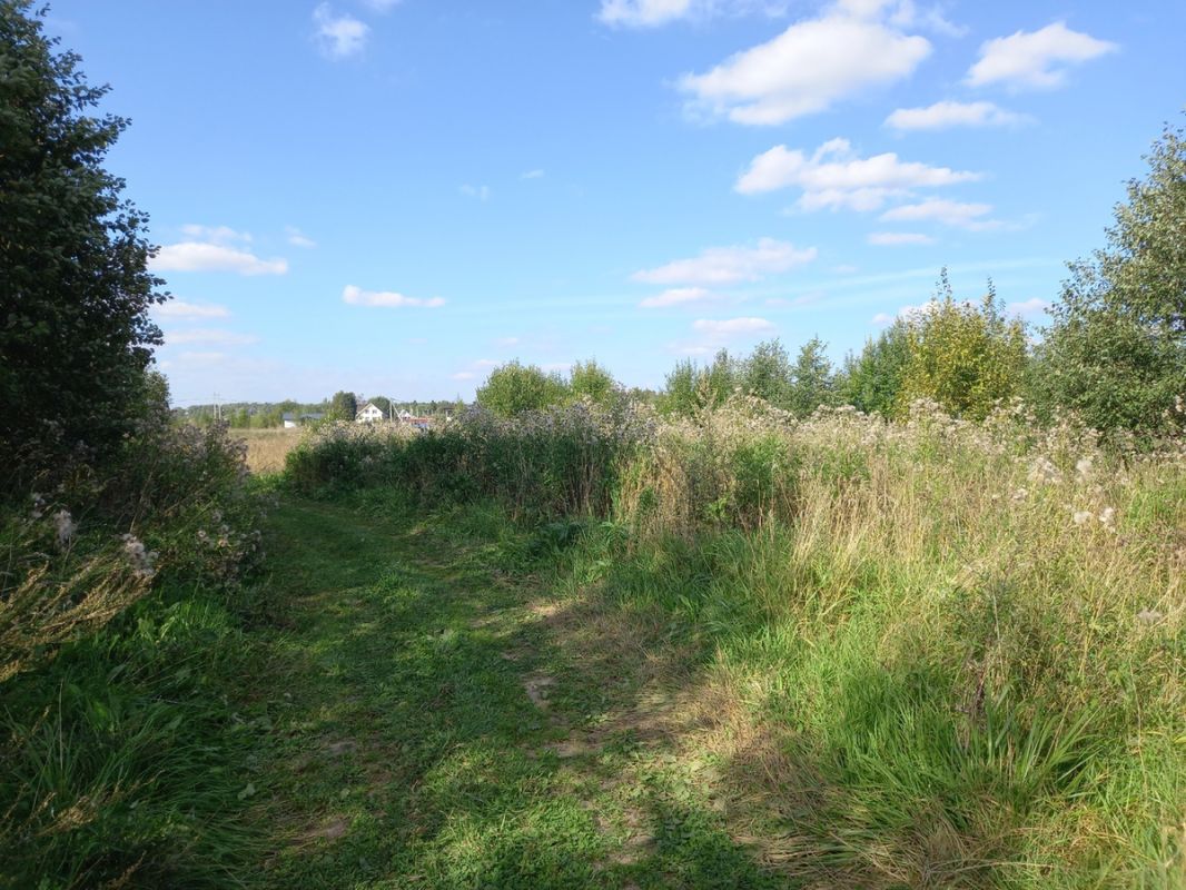 ������ � ��������: ������� �� ��� �� ���� � � ����?