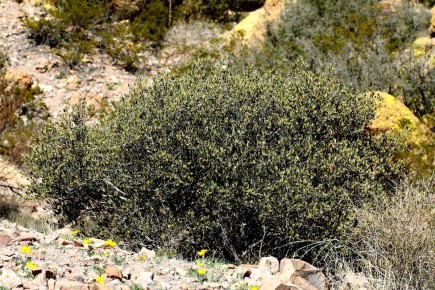 ������: ����������� ������� ��� ������ �������