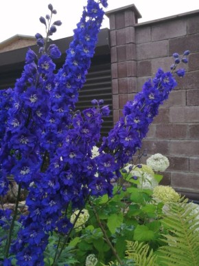 ������� �������� ���������� ��������� � ����: ������������ ������