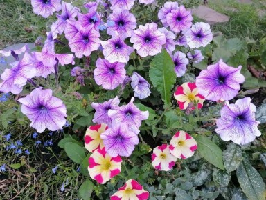 �������: ��� ��������� ����� ����� ��� ������ ����