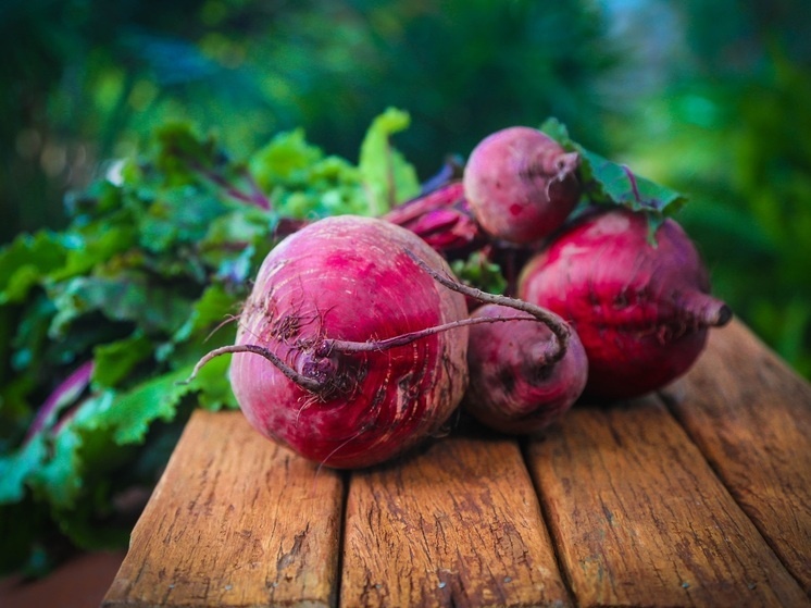 Молодая свекла: секрет здоровья и хорошего самочувствия