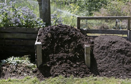 Как правильно подготовить компост на следующий год: пошаговая инструкция