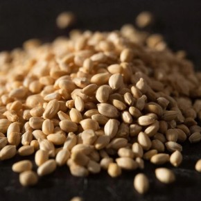 ������: ������ �������� ��� ������� ������ � ��������