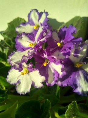 ������ � ��� ��������: ���������� ������ � ������� �����