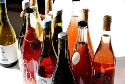 ��� ������� ���� � �������: �������� ������ � 14 �������