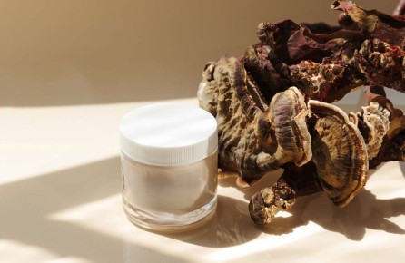 Ферментированные грибы: новый взгляд на уход за кожей