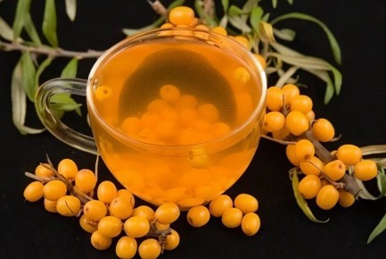 Вкусный облепиховый чай с медом: простой рецепт для истинных ценителей