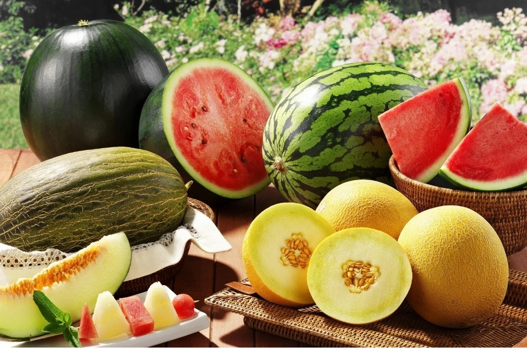 Пирожные в мире растений