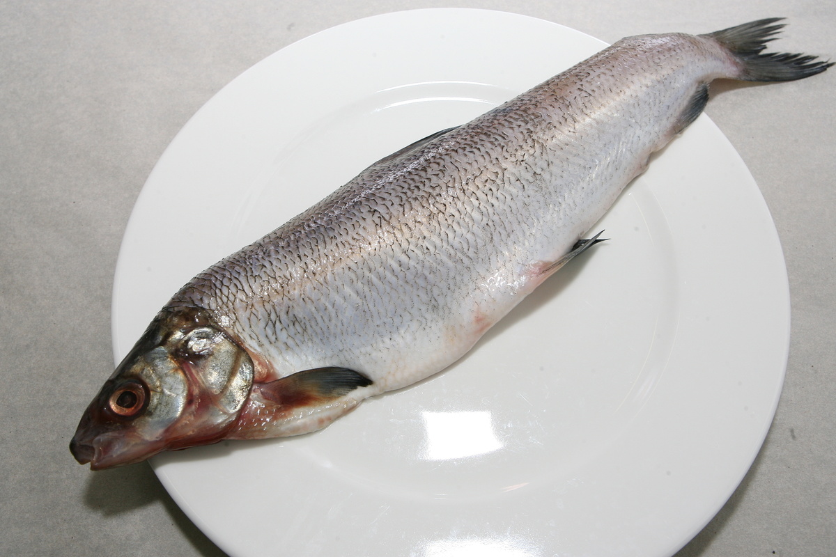 Почему выбор рыбы важен: советы диетолога