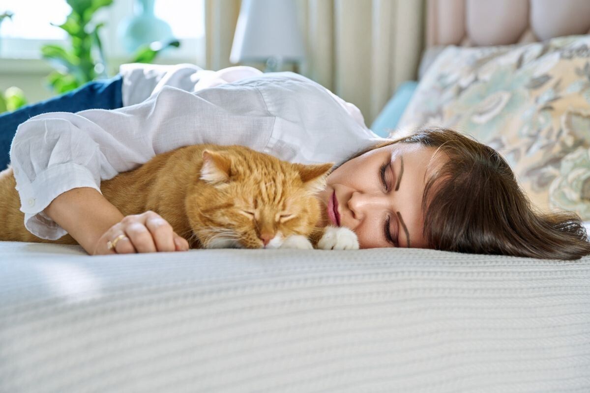 ������ ����� �������� ������ ��� ��� ���? ������� ������� ���������