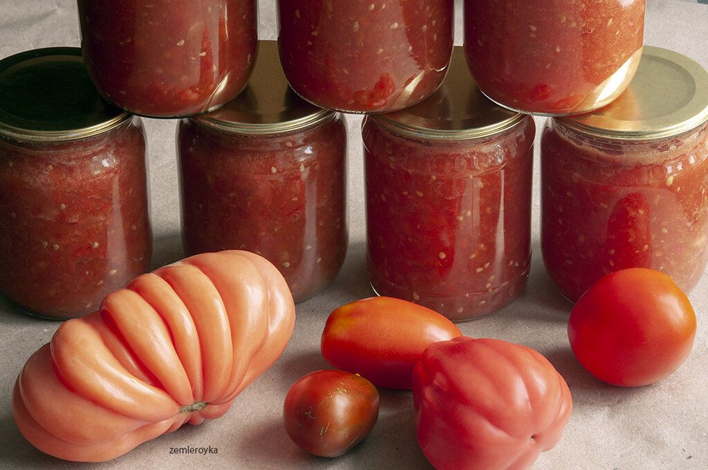 ��� ������ ������������ ������: ������� ����� �� �������