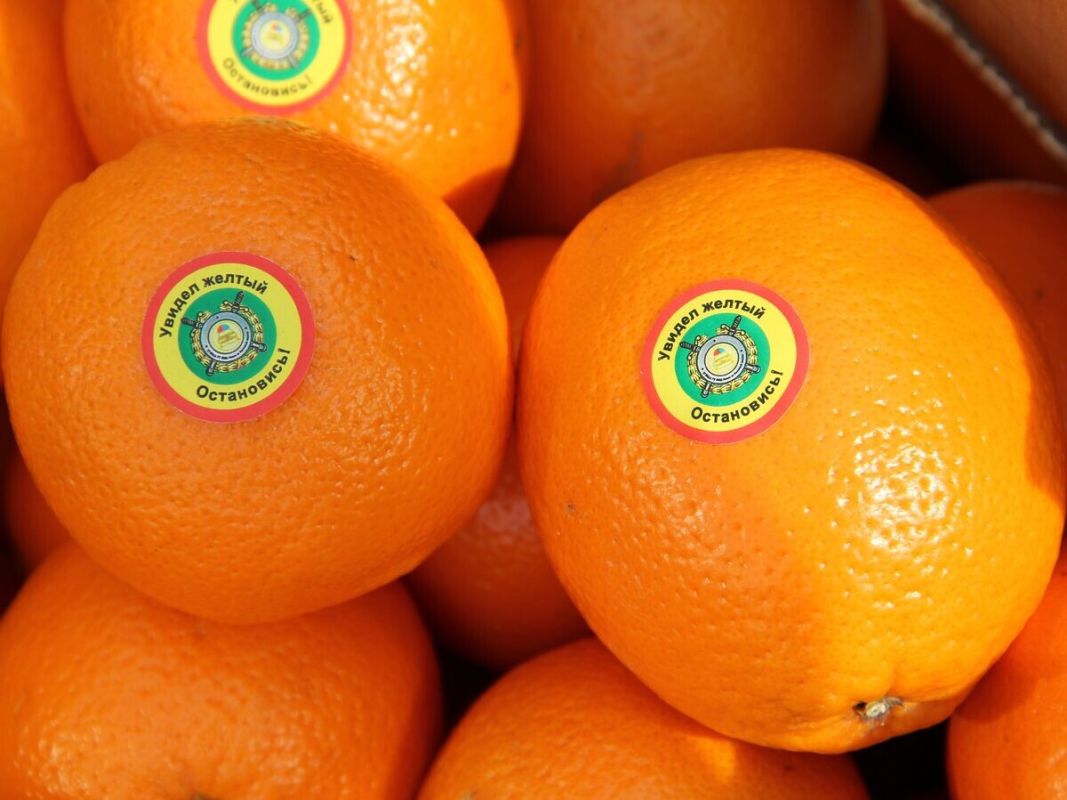 ���� �� ��������� �������� ��������� ���������