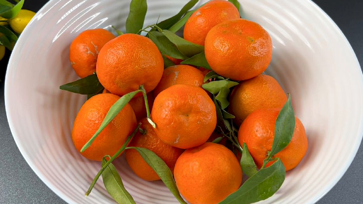 ����������� ������������ �����: ������� ������ ��� ������� ��������