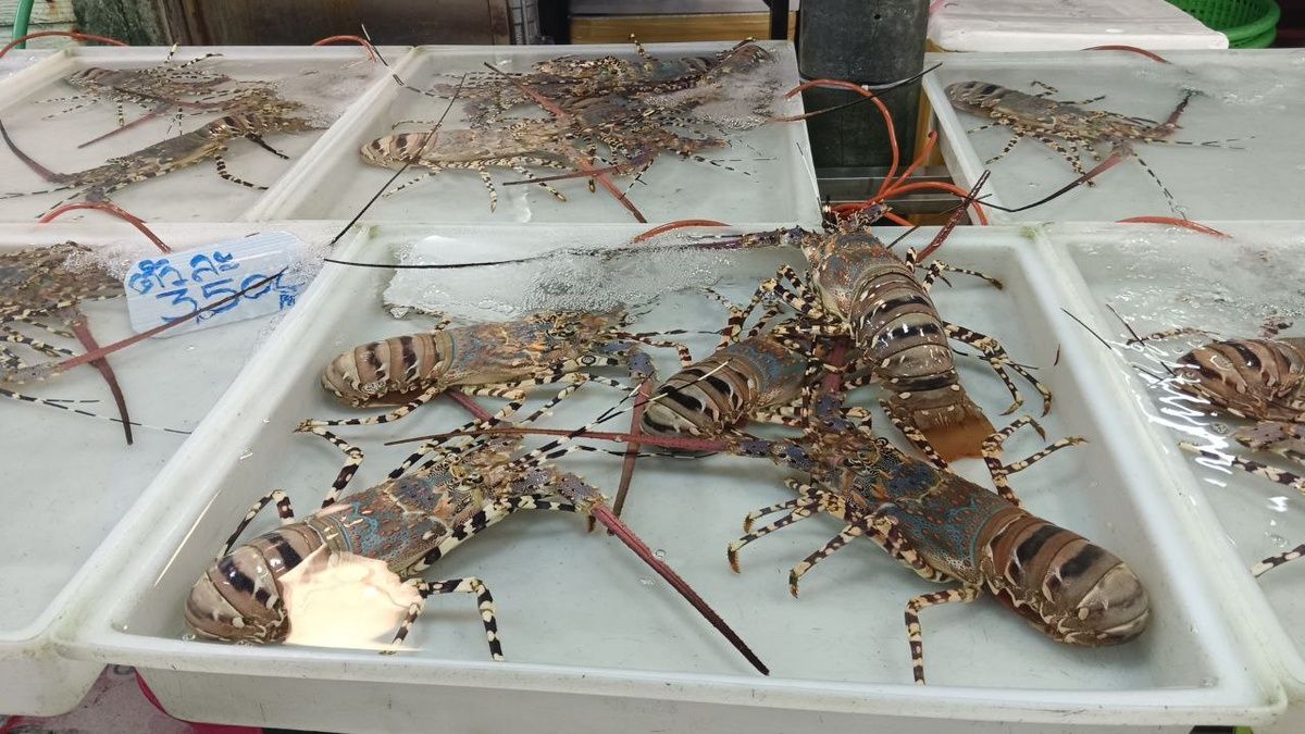 ����� ������ � �������: ��������� � ��������� ������� ���������