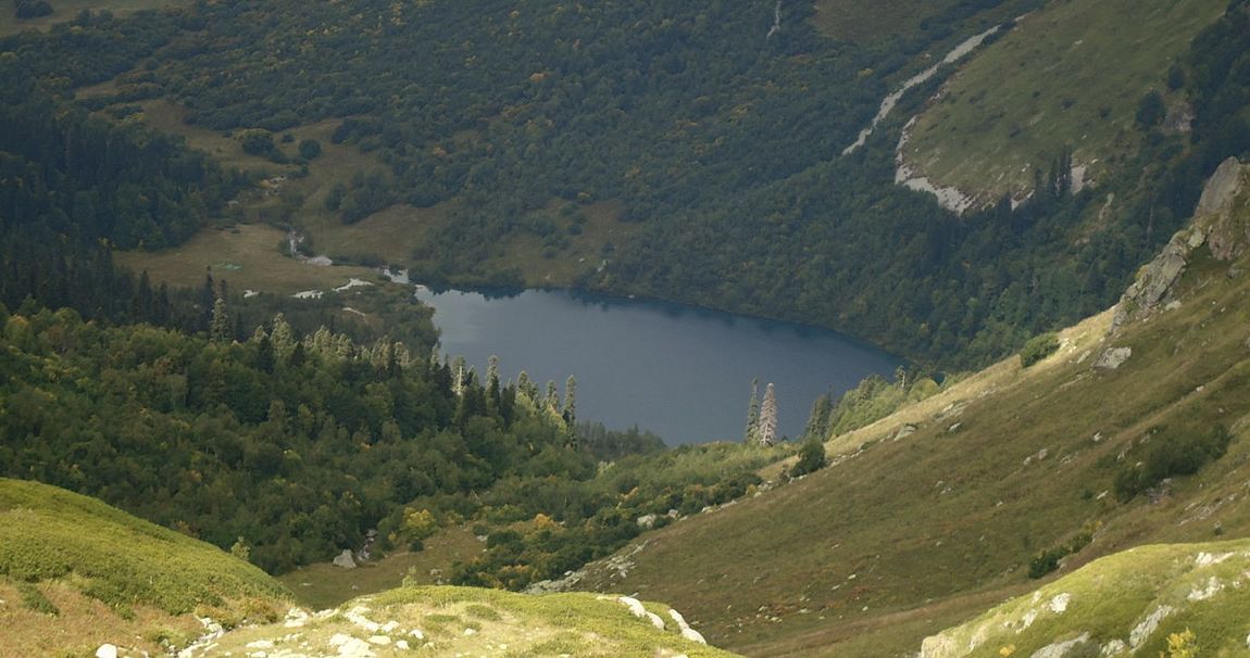 ���������� ������������ ����� ��������: ��������� �������