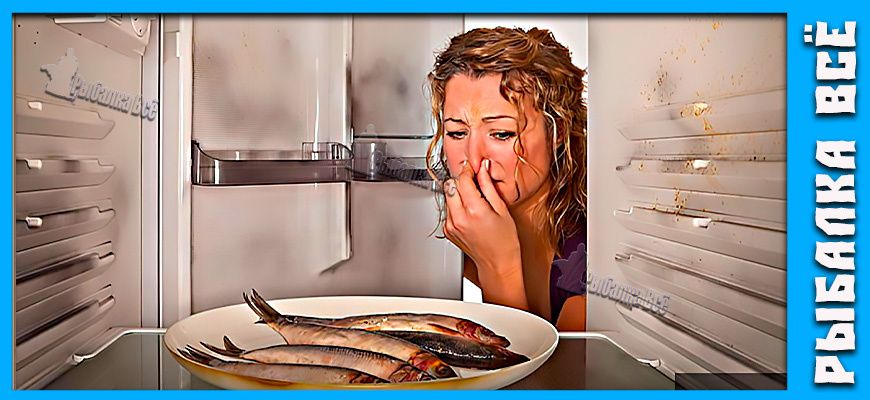 ��������� ����������� ����: ��� ���������� � ��� ������ ��� ����������