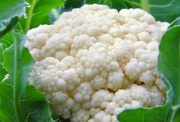 ������ ������ �� ������� �������: ������� ������������� � �������� ������