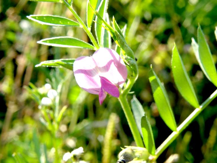 ���������� ������