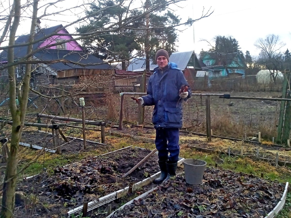 Грибное чудо: Как пандемия вдохновила на лесные приключения