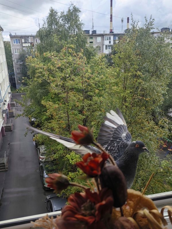 ��������� ���������������� �������: ��� �������� �� ������ �� ���� ������