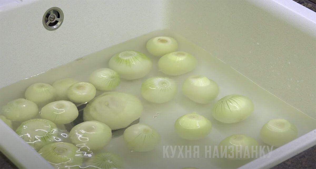 ������ ����� ������ ������ ���: 5 ������������ ������