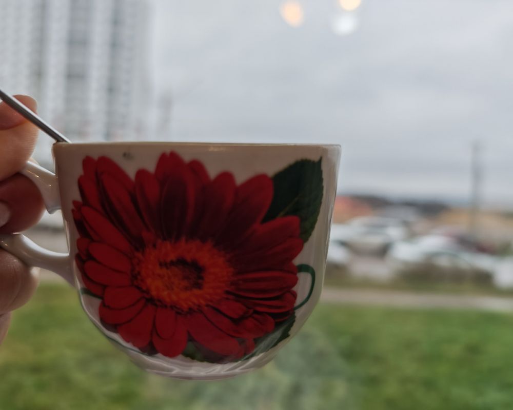 ������� ������� � �������� ����������� � �����