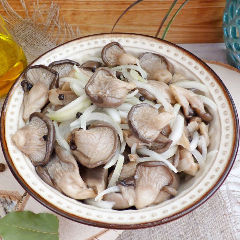 ������ ������ ���������� �������: ������� �� �����