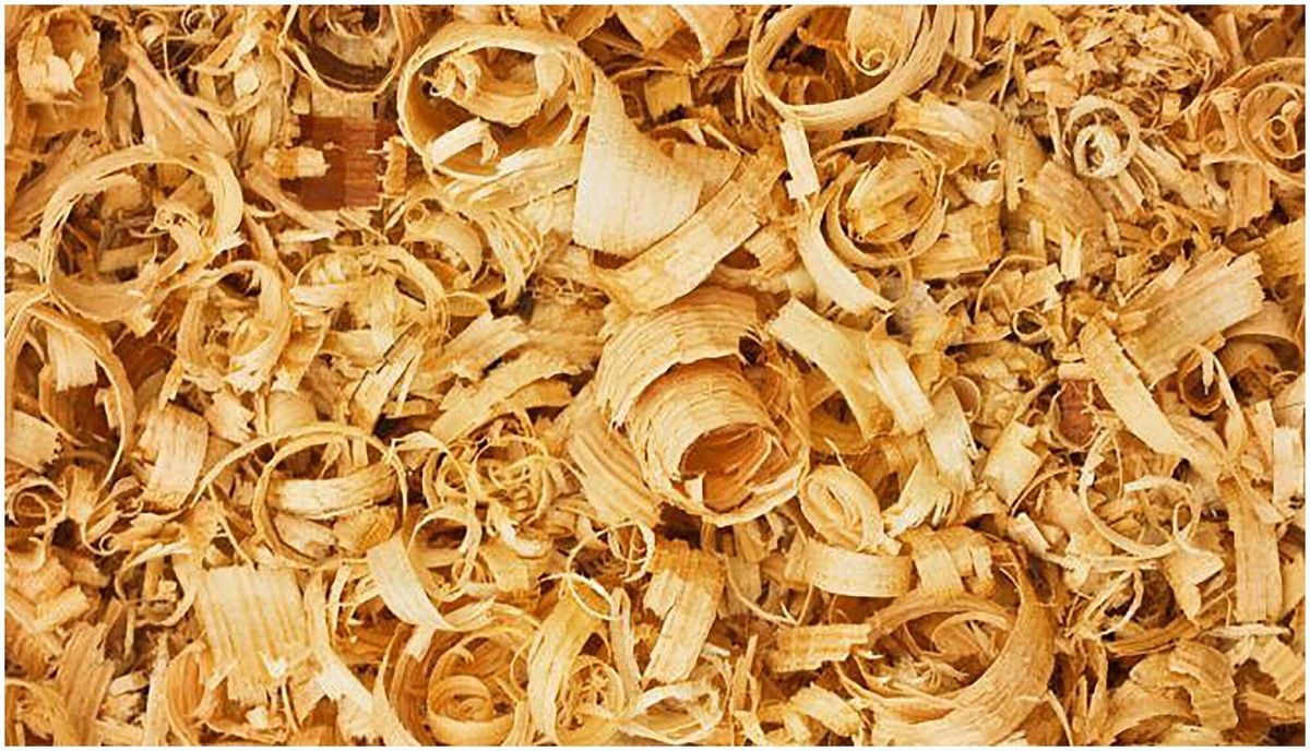 ����� ����� ��������: ��������� ������� ��� �������