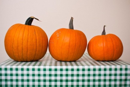 �����: ��������� ������� ���� ��� ������ �����