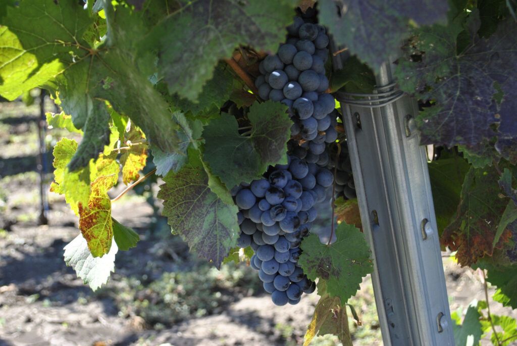 ������� ���� ��������� ������ �� ���������� �������� � ���