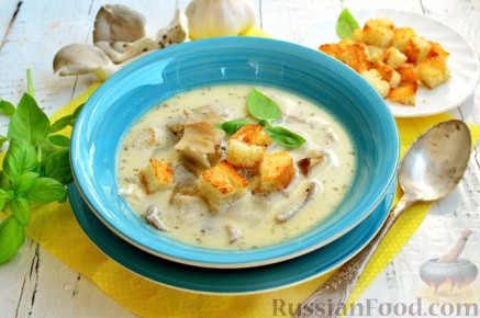 �������� ����, ������� ������� � �������� ���