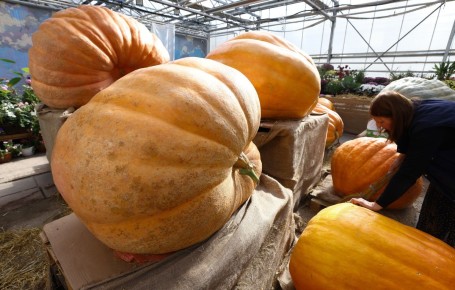 � ����������� ������� �������� ������� �������� ������ �� ������-��������