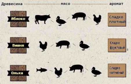 ��� ���� ������ �� ���� ��������� ����: ������� ��������