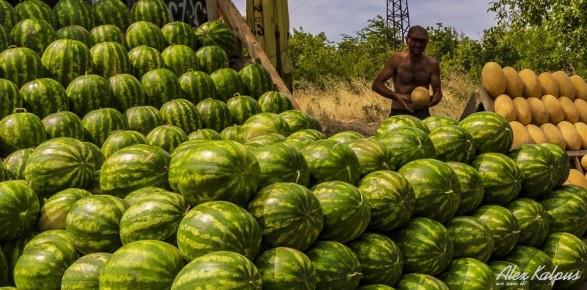 ��������� ���������: ���� � ������� �� ������