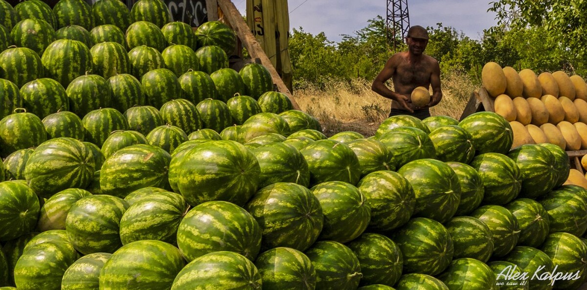 Необычные сочетания: дыня с аджикой из Грузии