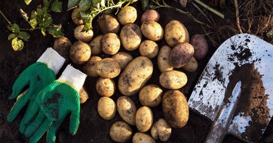 ��� ��������� ������� � ��������� ������ ���������