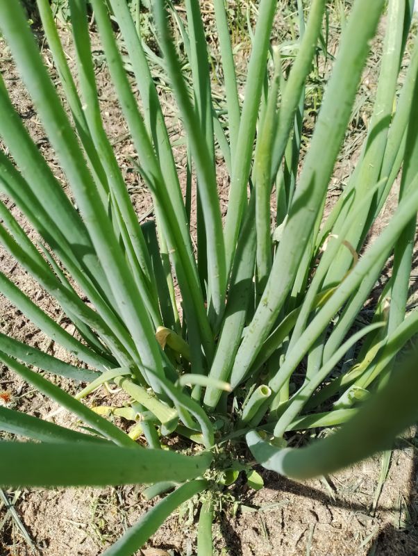 ���� � �������: ��� ����������� ��������� �������