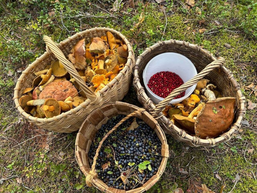 ������������ �������� ������� ������: ��� ������� �������� �� ���������