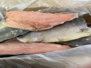 ������ ���� ������� �� �����