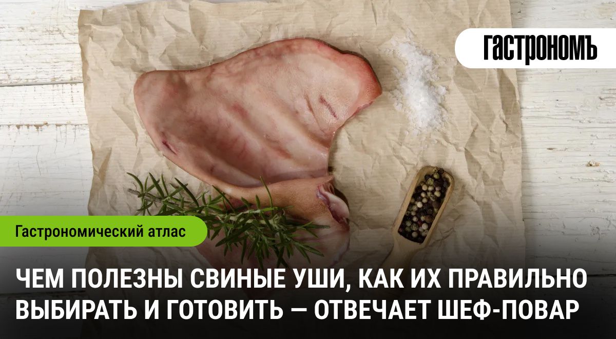 ������������ ������ ���: �� ������ �� �������������