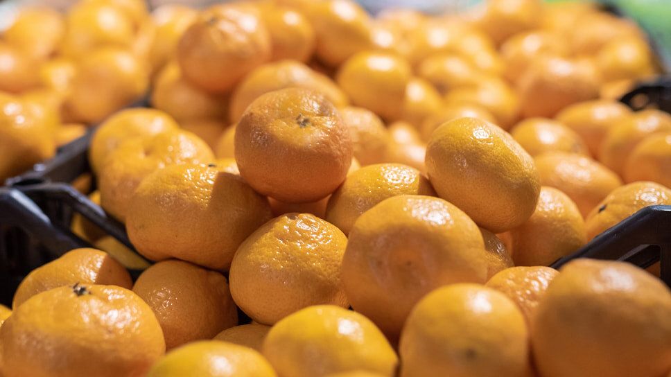 � ������������� �������� ��������� �� ������������� ���������