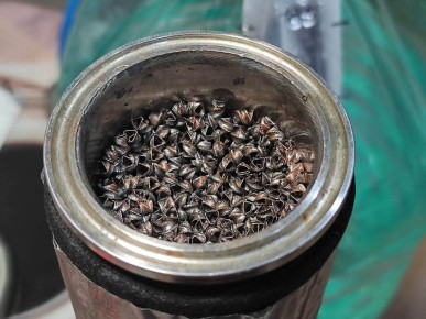 Медь в самогоне: когда она необходима и как правильно использовать